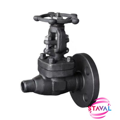 API602 Gate Valve Reduce Bore NPT X RF End