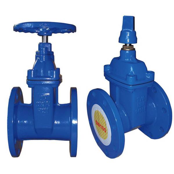 Cast Iron Gate Valve Characteristics