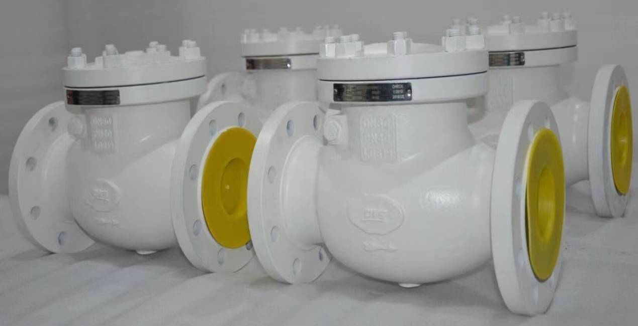 What is Check Valve & Why is Check Valve