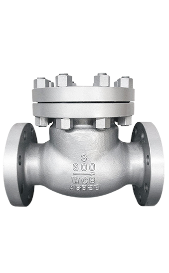 Check Valve