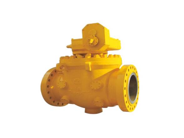 What is the Top Entry Ball Valve