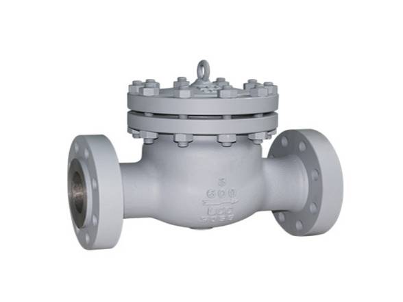 Installation and use of industrial check valve